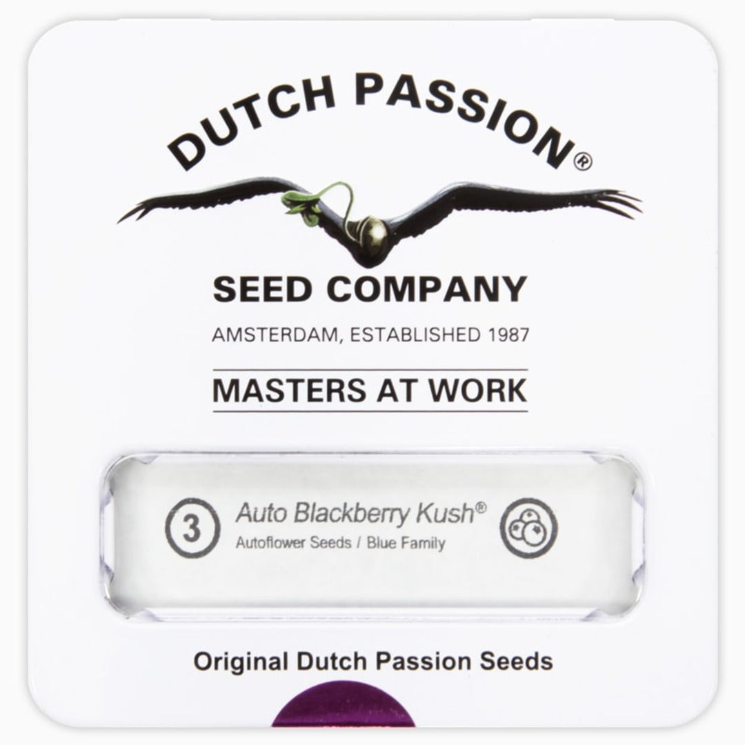 DUTCH PASSION AUTO BLACKBERRY KUSH