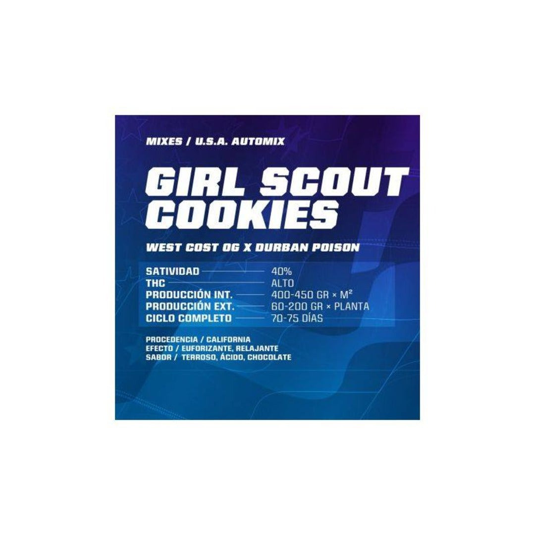 Girl Scout Cookies AUTO - Pack 100 semillas – BSF