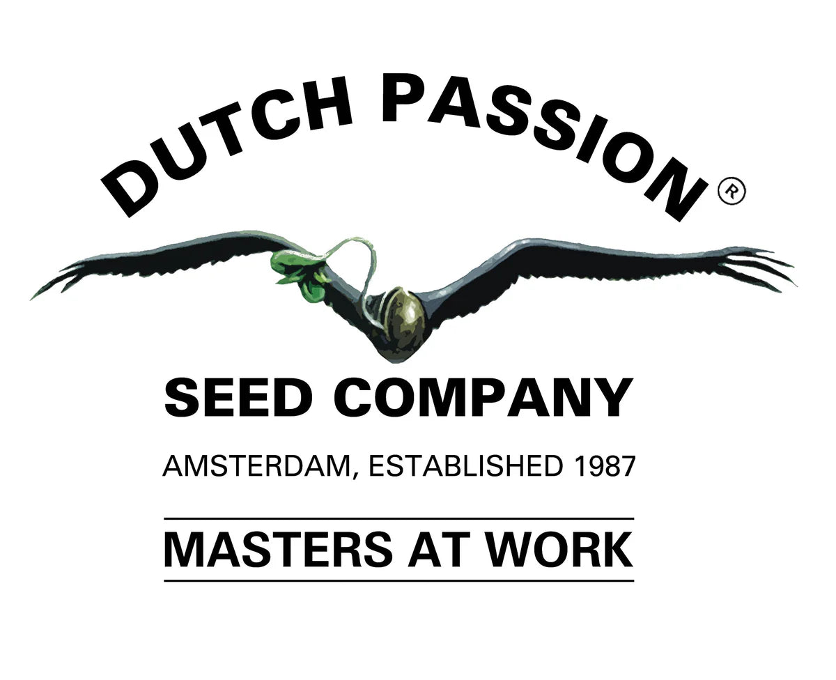 DUTCH PASSION TROPICAL TANGIE FEM X3