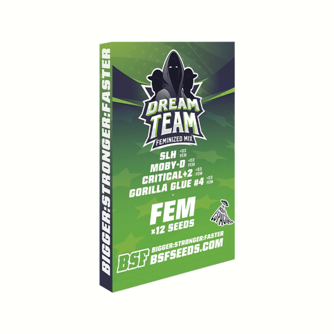 BSF Dream Team Feminized Mix X12