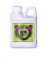 ADVANCED NUTRIENTS BIG BUD