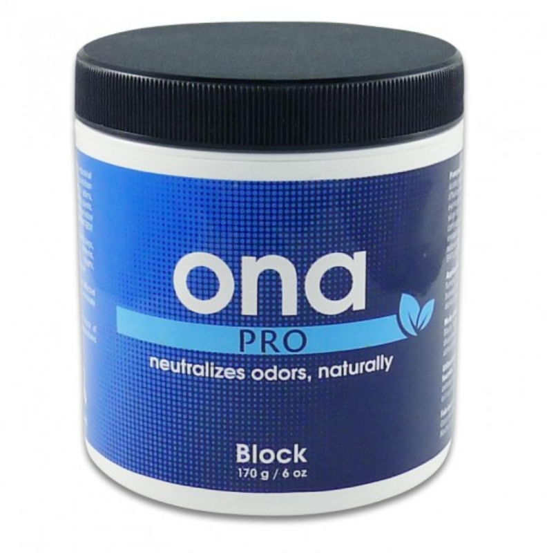 ONA AMBIENTADOR BLOCK