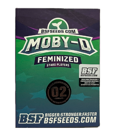BSF SEEDS FEM MOBY DICK 2 UNID