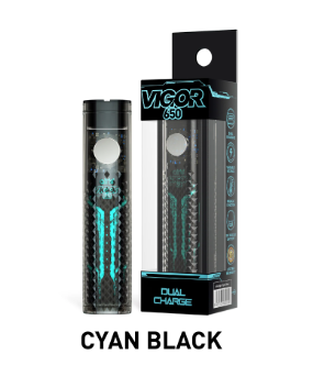 AIRIS VIGOR 650 DUAL CHARGE