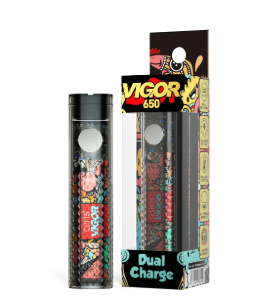 AIRIS VIGOR 650 DUAL CHARGE