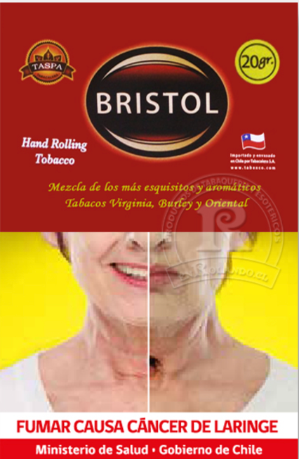 TABACO BRISTOL 20 GR