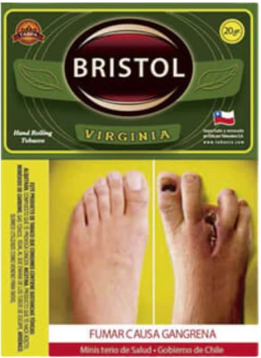 TABACO BRISTOL 20 GR