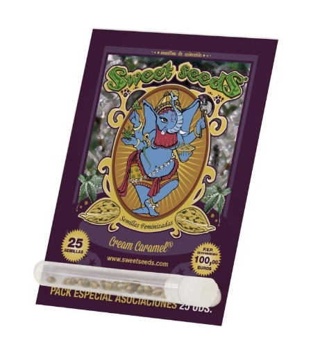 Sweet Seeds Cream Caramel fast version fem 25 unid