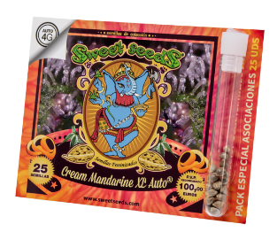 SWEET SEEDS AUTO CREAM MANDARINE XL 25 UN