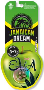 EVA SEEDS LEMON KING FEM 3+1 UN