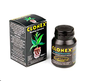 CLONEX 50 ML