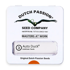 DUTCH PASSION AUTO DUCK
