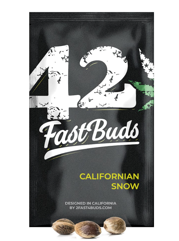 FAST BUDS AUTO CALIFORNIAN SNOW
