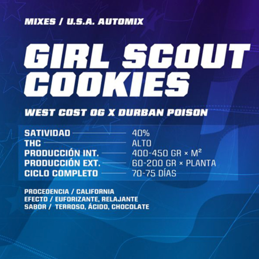 Girl Scout Cookies AUTO - Pack 500 semillas – BSF