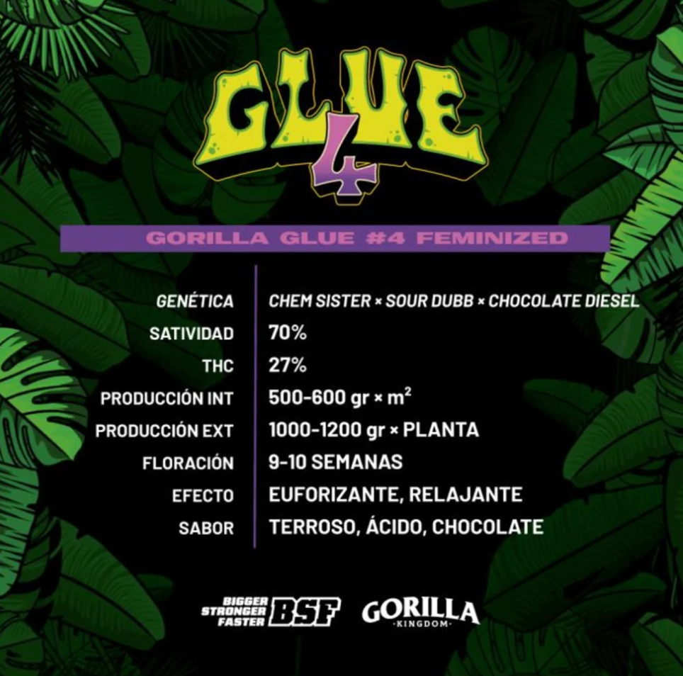 Gorilla Faster AUTO – Pack 1000 semillas – BSF