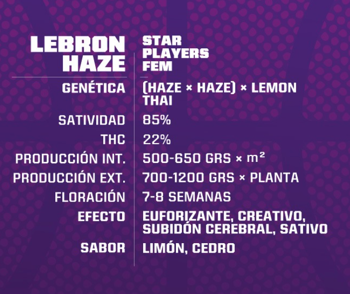 Lebron haze FEM- Pack 1000 semillas – BSF