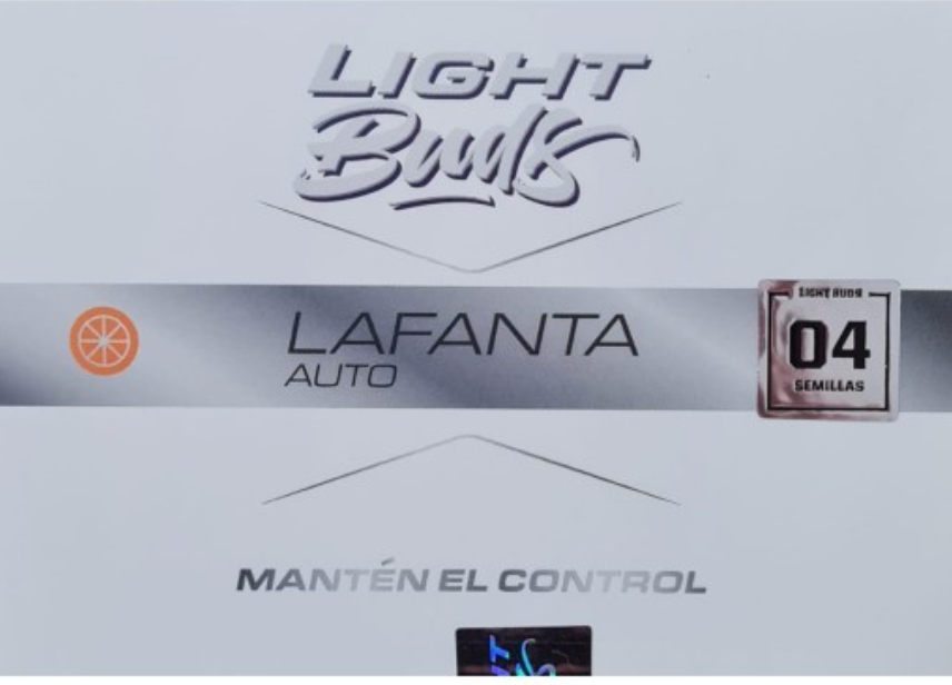 Light Bud - Lafanta Auto CBD x 4