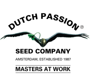 PROMOCIÓN DUTCH PASSION FEM