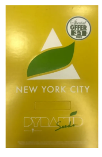 PYRAMID SEEDS NEW YORK FEM