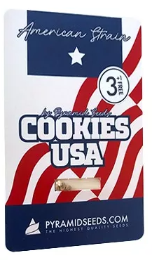 PYRAMID SEEDS COOKIES USA 3 UNID
