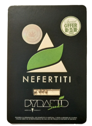 Pyramid Seeds Nefertiti Fem 3+1