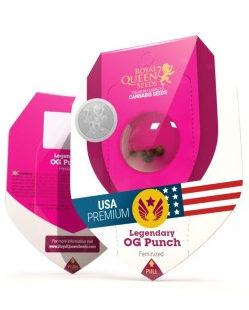 ROYAL QUEEN SEEDS LEGENDARY OG PUNCH 1UD