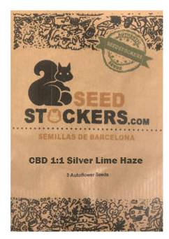 SEED STOCKERS AUTO CBD SILVER LIME HAZE