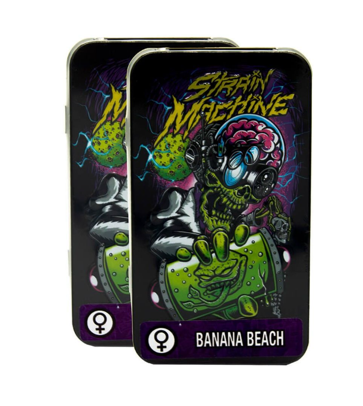 STM AUTO BANANA BEACH 3 UNID