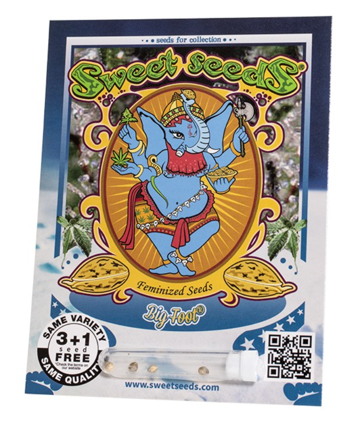 SWEET SEEDS BIG FOOT 3+1 FEM