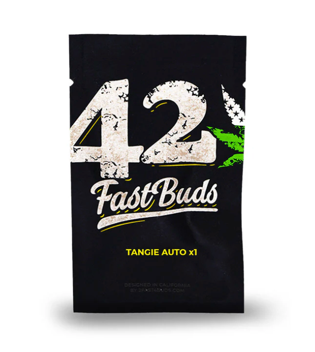 FAST BUDS TANGIE AUTO 1 UN