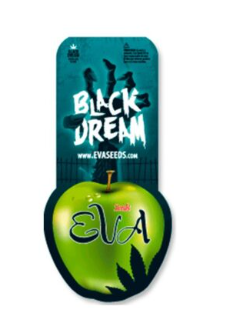 EVA SEEDS BLACK DREAM 3+1 UN