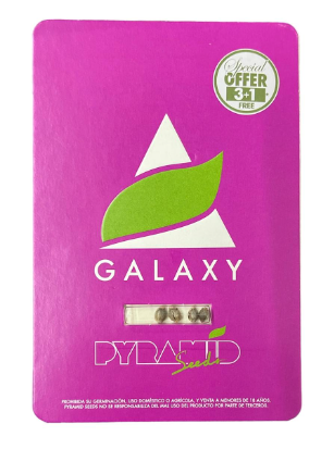 PYRAMID SEEDS GALAXY FEM 3 UNIDAD