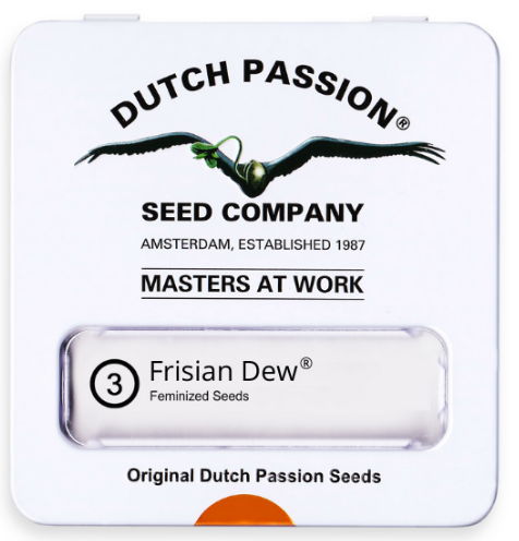 DUTCH PASSION FRISIAN DEW FEM X3
