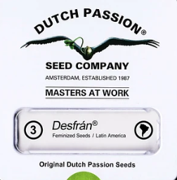 Desfran Fem 3 unidades dutch passion