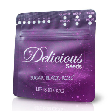 DELICIOUS SEEDS AUTO SUGAR BLACK ROSE 3 UNI