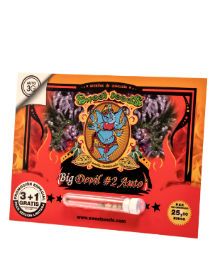 SWEET SEEDS AUTO BIG DEVIL 2