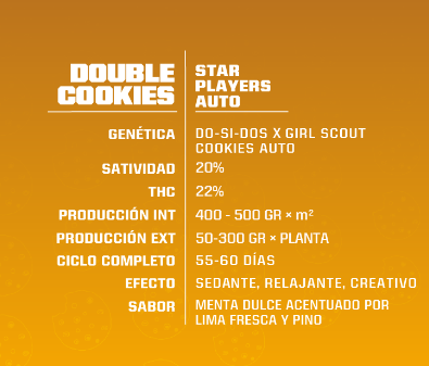 BSF SEEDS DOUBLE COOKIES AUTO X12 UNID