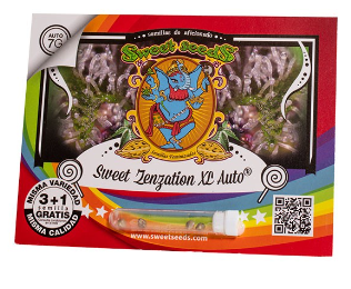 SWEET SEEDS SWEET ZENZATION XL AUTO X3+1