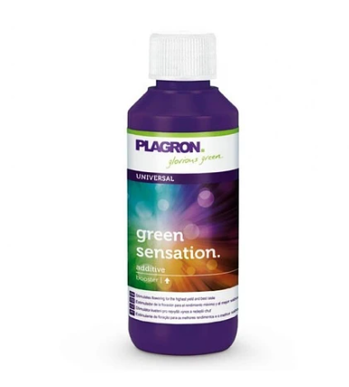 PLAGRON GREEN SENSATION 100 ML