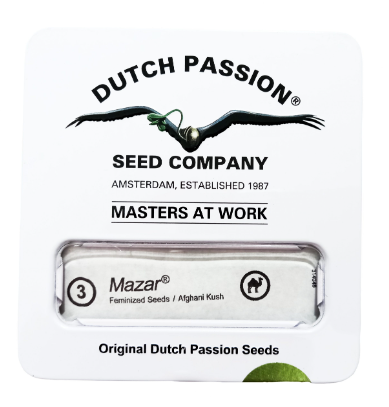 DUTCH PASSION MAZAR FEM X3