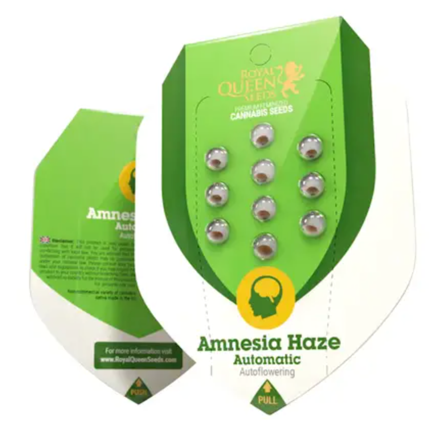 Amnesia Haze Royal Queen Seeds (Pack: 3 uds)