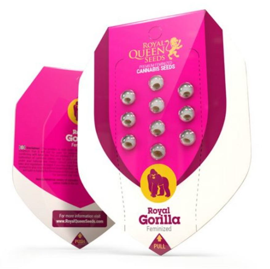 Royal Gorilla Royal Queen Seeds (Pack: 3 uds)