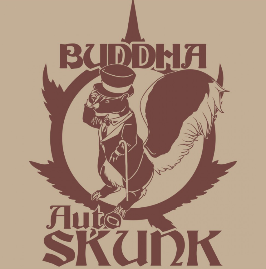 SKUNK AUTO X3+1 - BUDDHA SEEDS