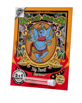 SWEET SEEDS BIG DEVIL FAST VERSION 3+1