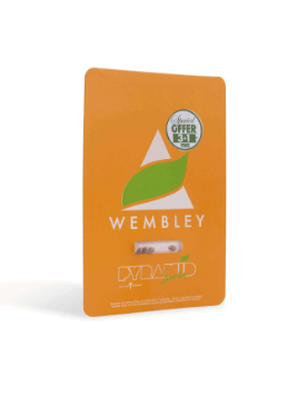 PYRAMID SEEDS WEMBLEY 3UDS