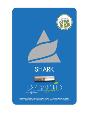 PYRAMID SEEDS SHARK FEM 3+1 UNI
