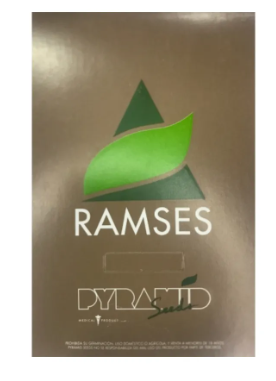 PYRAMID SEEDS RAMSES 3+1 UNI FEM
