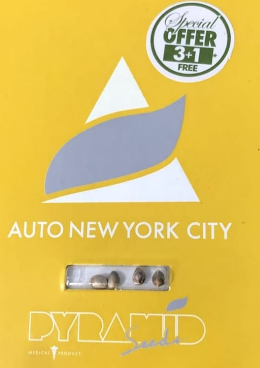 PYRAMID SEEDS AUTO NEW YORK CITY 3+1 UNID