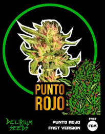 DELIRIUM SEEDS PUNTO ROJO FAST VERSION X2 UNID