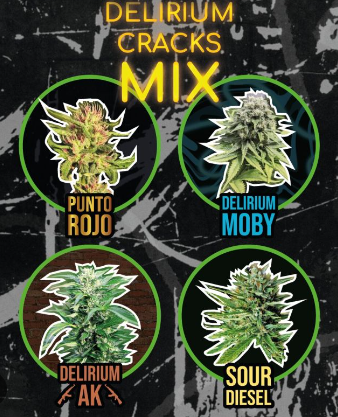 DELIRIUM SEEDS MIX DELIRIUM CRACK FAST VERSION X4 UNID